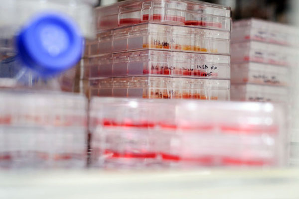 Drug discovery image