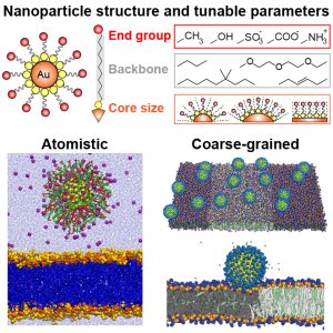 Multiscale Modeling of Nanoparticle Interactions with Lipid Bilayers