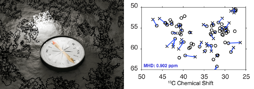 Technology figure 2: Accelerated computational analysis of NMR data to determine structures.