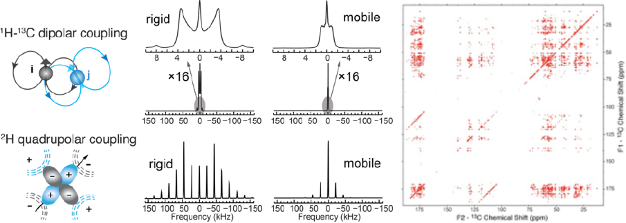 Technology figure 3: Sample preparation and isotopic labeling.
