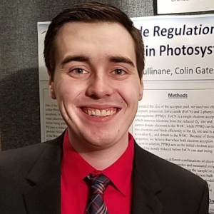 Brendan Cullinane
