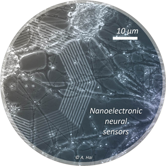 Nanoelectronic neural sensors