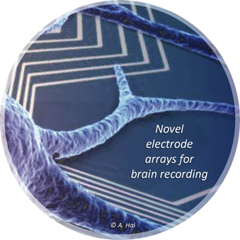 Novel electrode arrays for brain recording