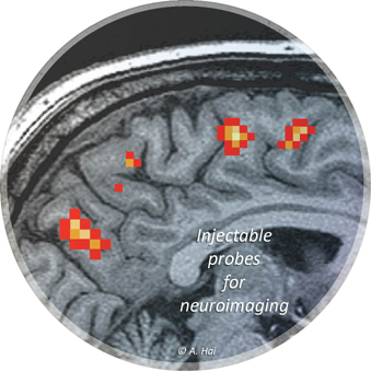 Injectable probes for neuroimaging