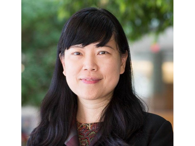 Lingjun Li