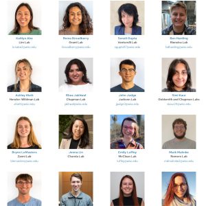 A small view of the MBTP trainee directory page