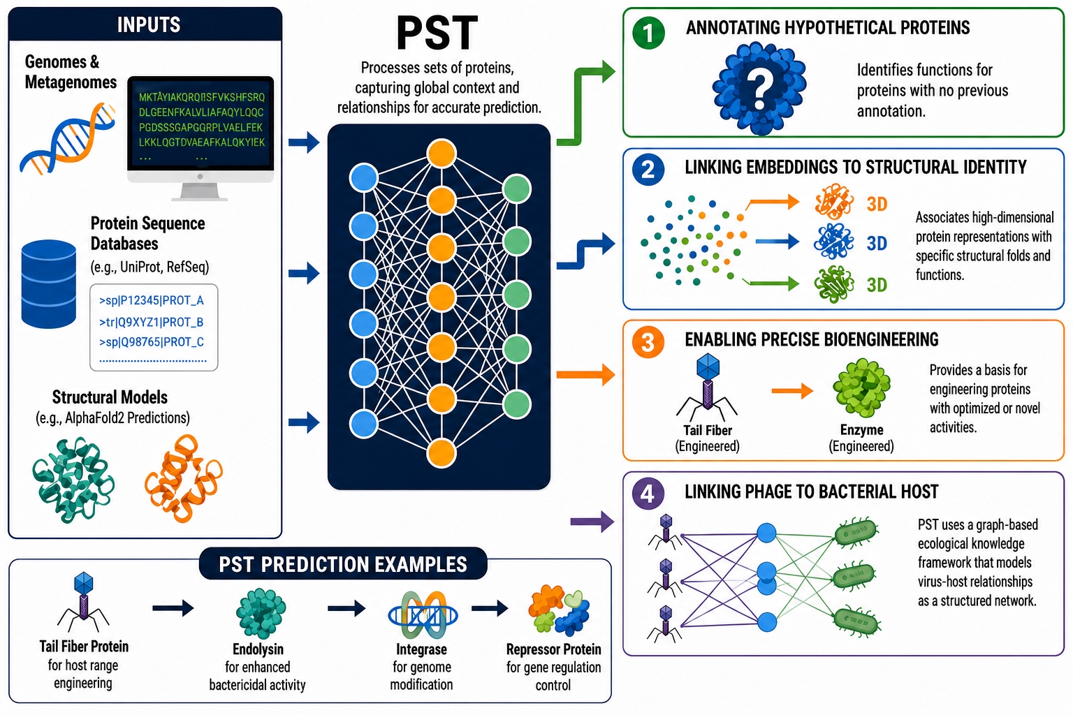 PST can enable various applications association with phage/virus genomics, ecology, and biotechnology.